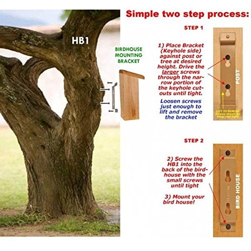 BestNest Erva Bird House Mounting Brackets with Keyhole Openings, Pack of 4 - Image 2