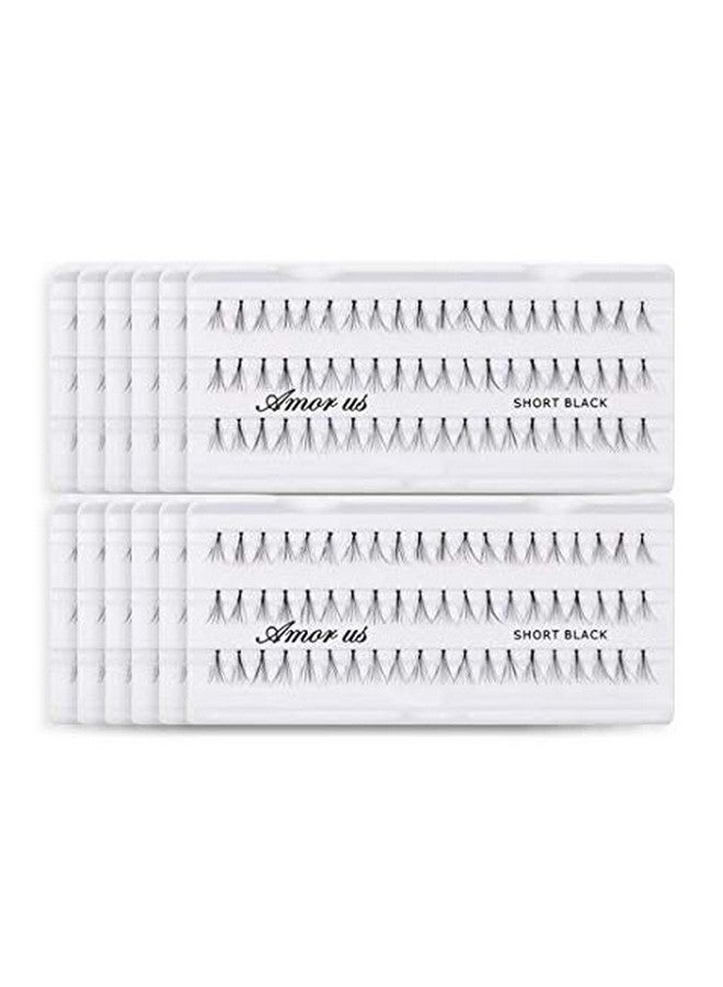 Amorus 12 Pairs Multipack Flare Short False Eyelashes Dozen Set 100% Natural Hair Black Handmade Comfortable Reusable Individuals Fake Lashes Pack - Image 2