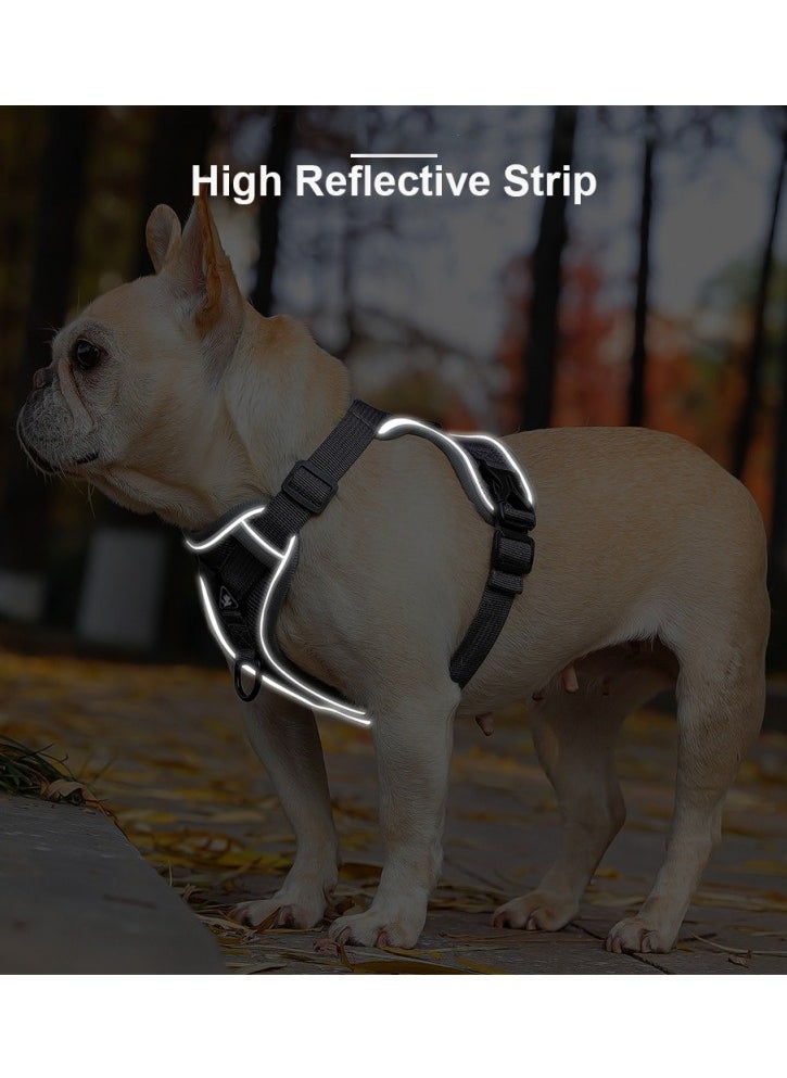 Breathable Dog and Cat Harness and Leash Set for small and medium pets, with Reflective Strips, Elastic and Buckle Dual Adjustment, Breathable and No choke