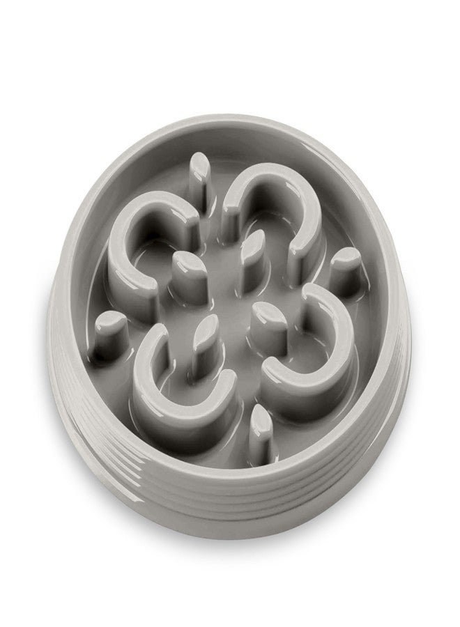 TarHong Slow Chow™ Medallion Feeder, Medium, Grey, 9.8" x 1.6", 3 Cups, Premium Plastic - Image 1