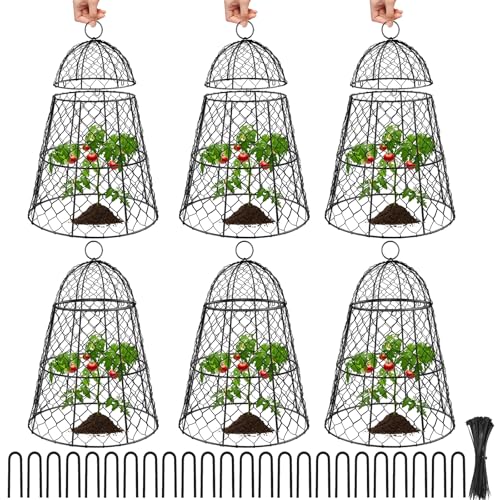 Doksving 6 Pcs Garden Cloches for Plants Metal Extra Large Chicken Wire Cloche Plant Covers Garden Netting Plant Protectors from Animals to Keep Squirrel Rabbit Chicken and Bird Out 17 H x 13 D Black - Image 1