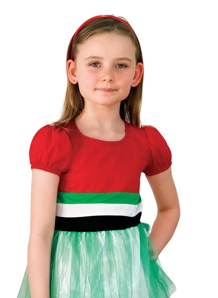 MAD TOYS UAE National Day Tutu Layered Flag Girls Dress Kids Costume Age 3 to 8 Years  - Image 2
