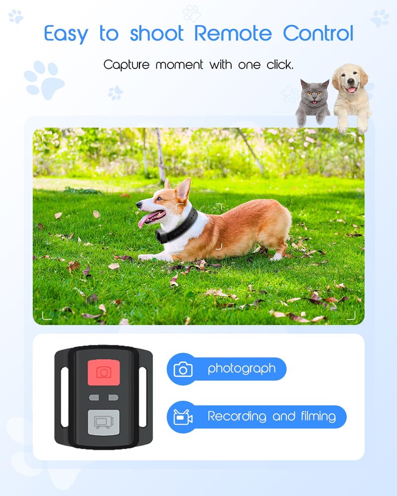 Yolansin 4K Cat Collar Camera, HD WiFi Pet Camera with 64GB SD Card, Mini Action Camera for Video Records Dog Collar Camera for Pet Supplies Camera for Cats Dogs Outdoor/Inoor Puppy Supplies Birthday - Image 5