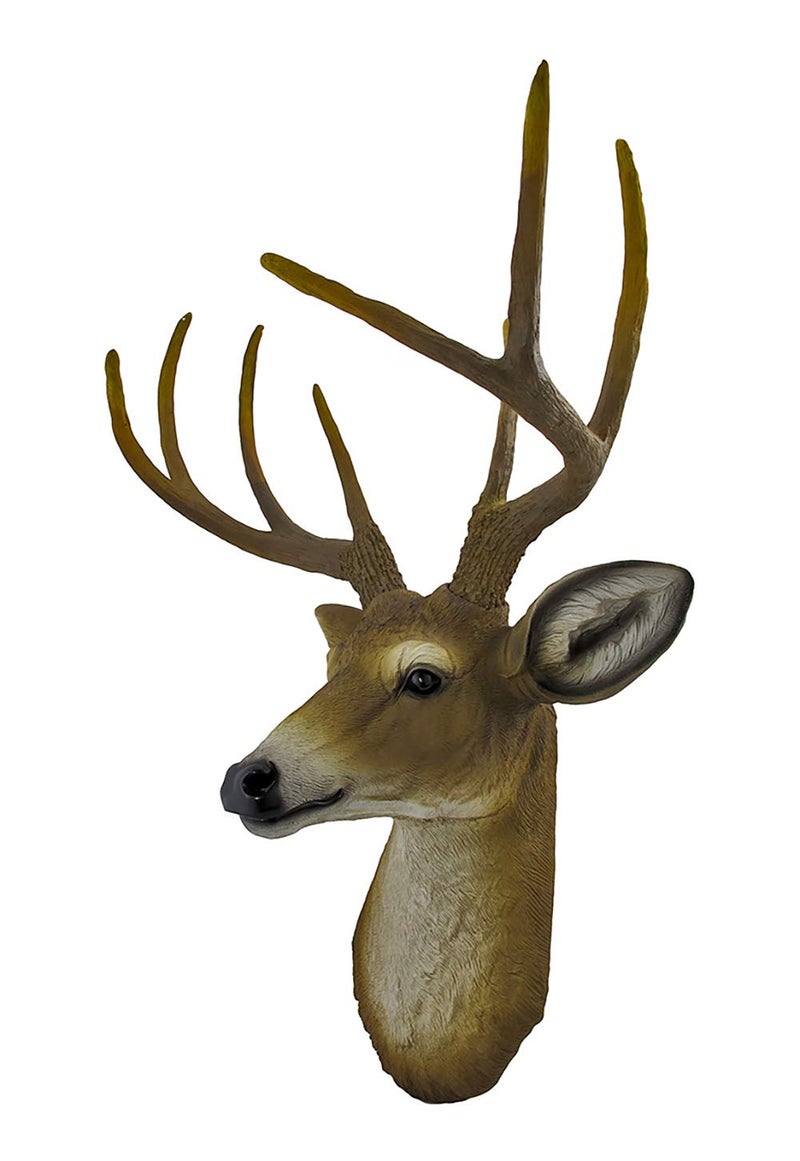Private Label Deer Head Wall Hanging - Image 2