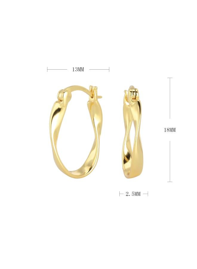 925 Sterling Silver Mobius Wave Earring Cold Wind Twisted Earrings Net Red Earrings Earrings 