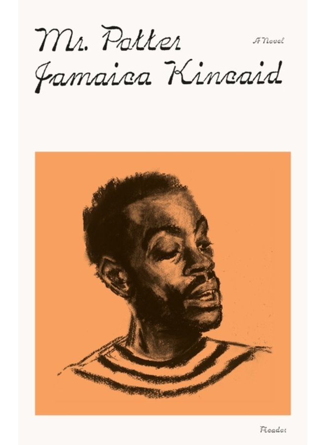 Mr Potter A Novel - Paperback