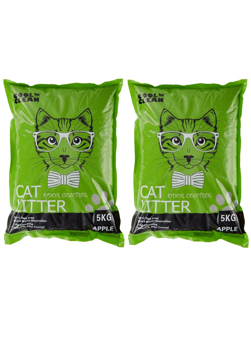 2Pc Clumping Cat Litter Apple - pzsku/Z3A01DC264FC206ACC55BZ/45/_/1699437772/695469bc-7410-4191-b76a-20ebee0ffe4e