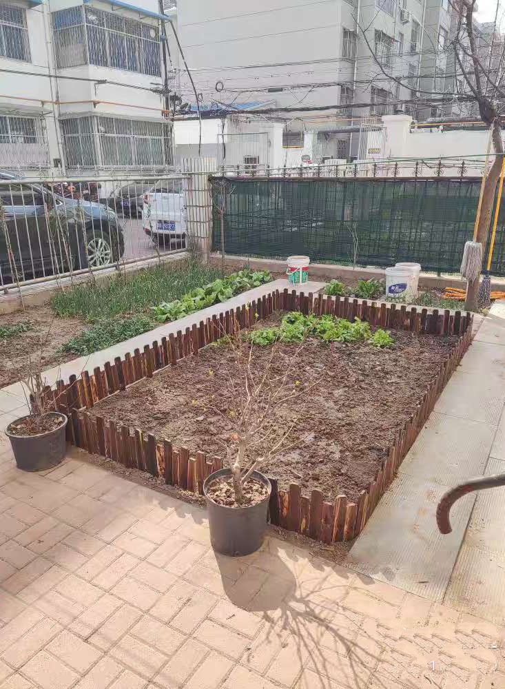 ألواح حواف سياج الحديقة الخشبية المتشابكة من FFD - حاجز سرير زهور مطهر للمناظر الطبيعية وحدود الحديقة" - Image 5