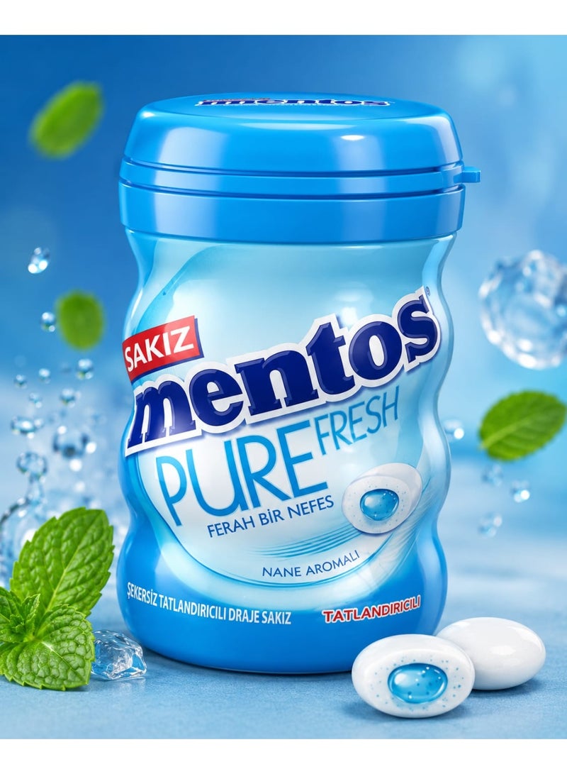 Mentos Pure Fresh Sugar-Free Mint Gum, Bottle 90 gm