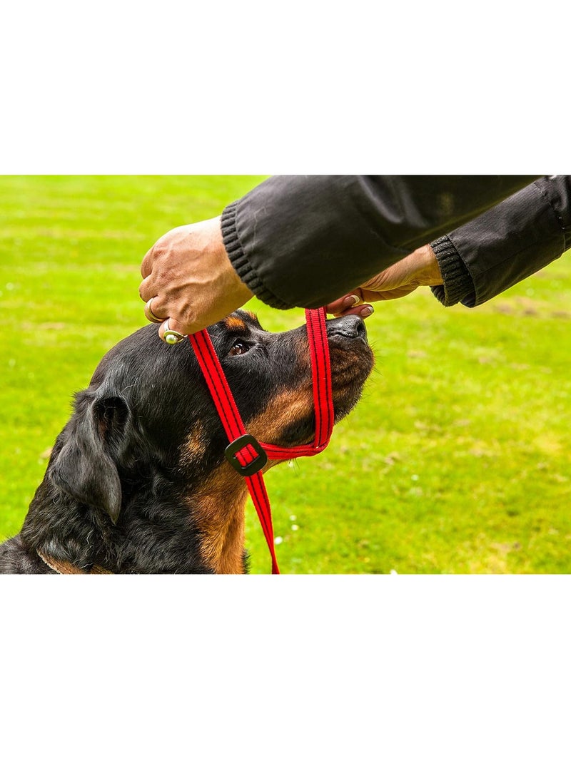 طوق رأس كبير باللون الأسود على اليسار - Image 2