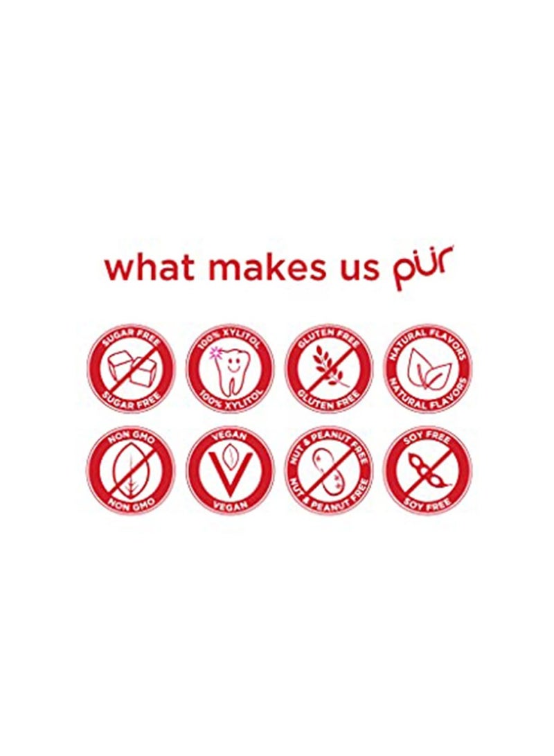 Pur Aspartame And Sugar Free Cinnamon Chewing Gum With Xylitol 9 Pieces - Image 3