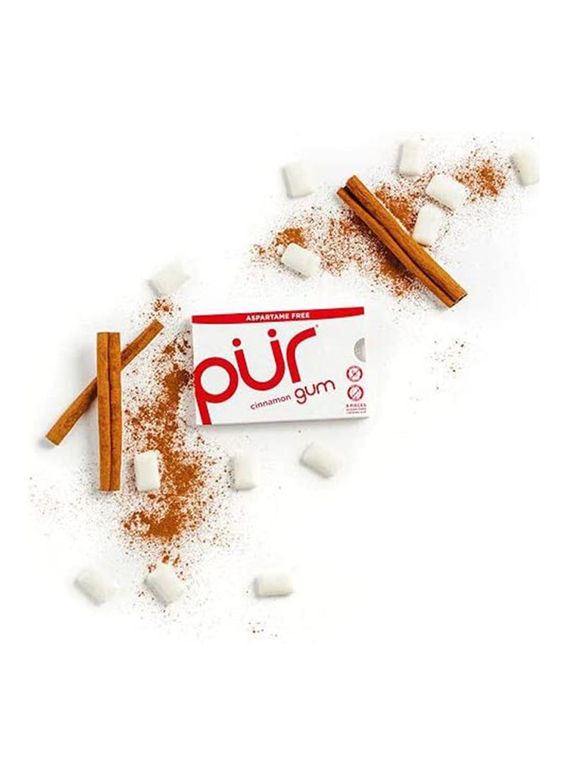 Pur Aspartame And Sugar Free Cinnamon Chewing Gum With Xylitol 9 Pieces - Image 4