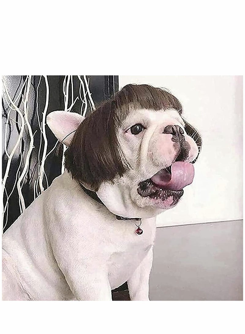 KASTWAVE Dog Wig Pet Costumes, Cat Costume Synthetic Accessories Small Dog Headwear for Halloween, Festival Party Decor, Head Wear Apparel Toy - Image 3
