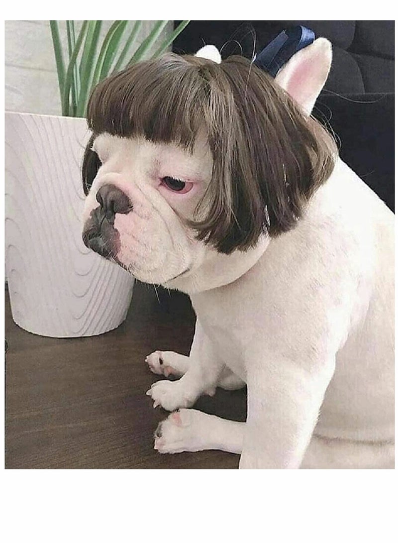 KASTWAVE Dog Wig Pet Costumes, Cat Costume Synthetic Accessories Small Dog Headwear for Halloween, Festival Party Decor, Head Wear Apparel Toy - Image 4