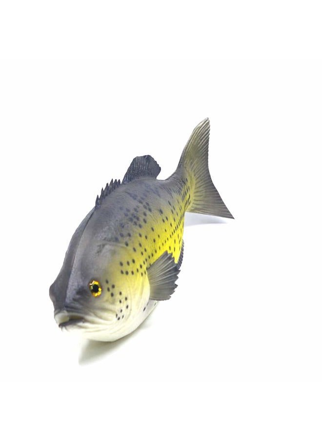 Ailejia 3pcs Simulated Animal Fake Fish Model for Home Decor, Market Display, Photography Prop Kids Toy Kitchen - Image 2