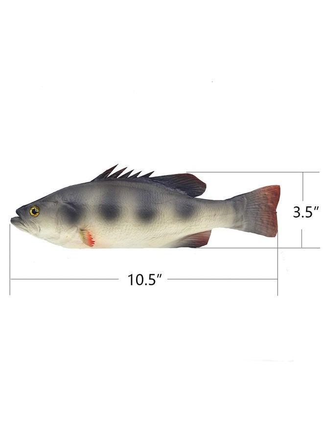 Ailejia 3pcs Simulated Animal Fake Fish Model for Home Decor, Market Display, Photography Prop Kids Toy Kitchen - Image 3