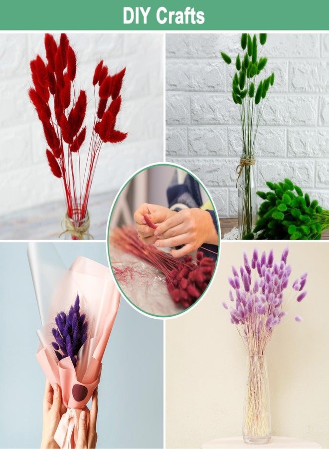 مجموعة M METERXITY المكونة من 120 قطعة من عشب ذيل الأرنب، بطول 17 بوصة، عشب ذيل الأرنب المنفوش، أغصان الزهور المجففة، حشو المزهريات، ديكور عشب مجفف للمنزل/حفلات الزفاف/المزهريات/المكتب/الحفلات [وردي فاتح] - Image 5