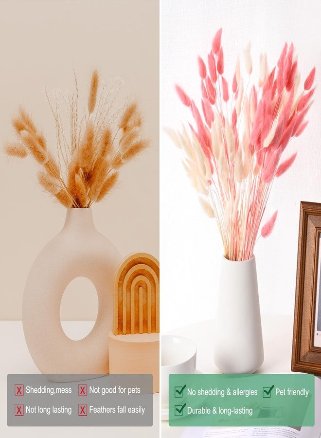 مجموعة M METERXITY المكونة من 120 قطعة من عشب ذيل الأرنب، بطول 17 بوصة، عشب ذيل الأرنب المنفوش، أغصان الزهور المجففة، حشو المزهريات، ديكور عشب مجفف للمنزل/حفلات الزفاف/المزهريات/المكتب/الحفلات [وردي فاتح] - Image 4