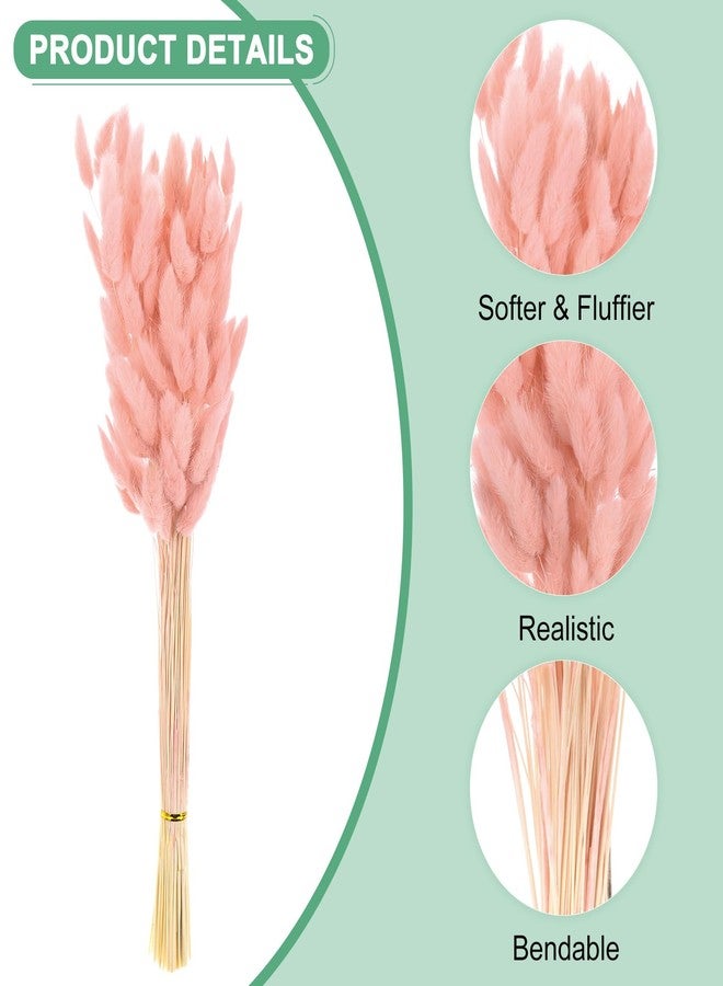مجموعة M METERXITY المكونة من 120 قطعة من عشب ذيل الأرنب، بطول 17 بوصة، عشب ذيل الأرنب المنفوش، أغصان الزهور المجففة، حشو المزهريات، ديكور عشب مجفف للمنزل/حفلات الزفاف/المزهريات/المكتب/الحفلات [وردي فاتح] - Image 2