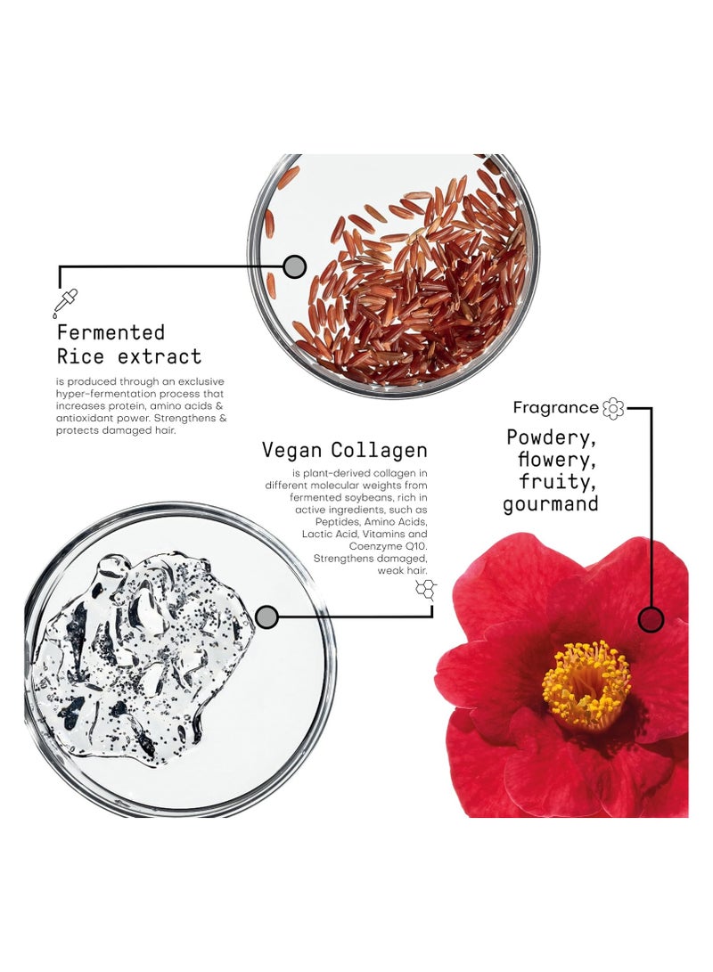 framesi MORPHOSIS - RESTRUCTURE CONDITIONER 250 ML - Image 3