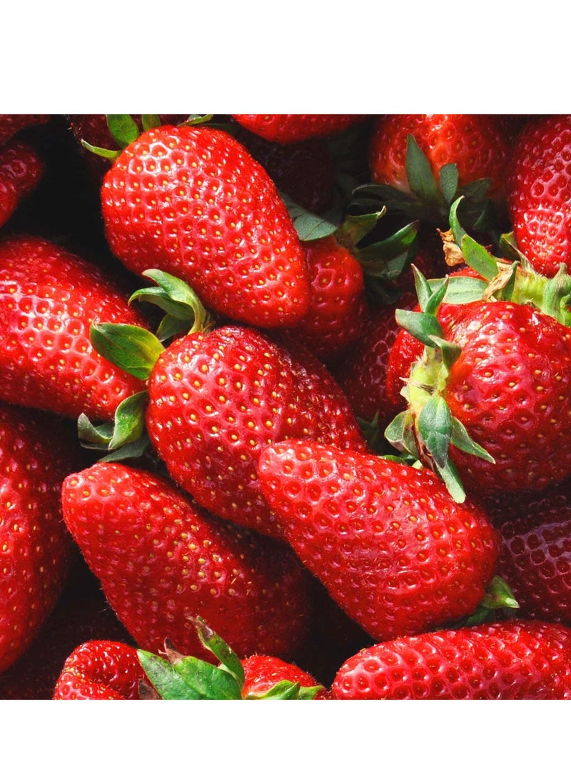 Fruttamax FruttaMax - Fruit Syrup Concentrate | Less Sugar | with 60% Fruit Content | Suitable for soda Machine 500ml (Strawberry)  - Image 3