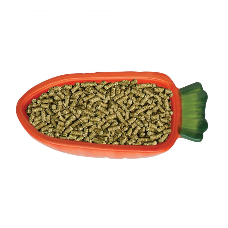 Kaytee Vege-T-Bowl Carrot 7.5 inches,Green - Image 4