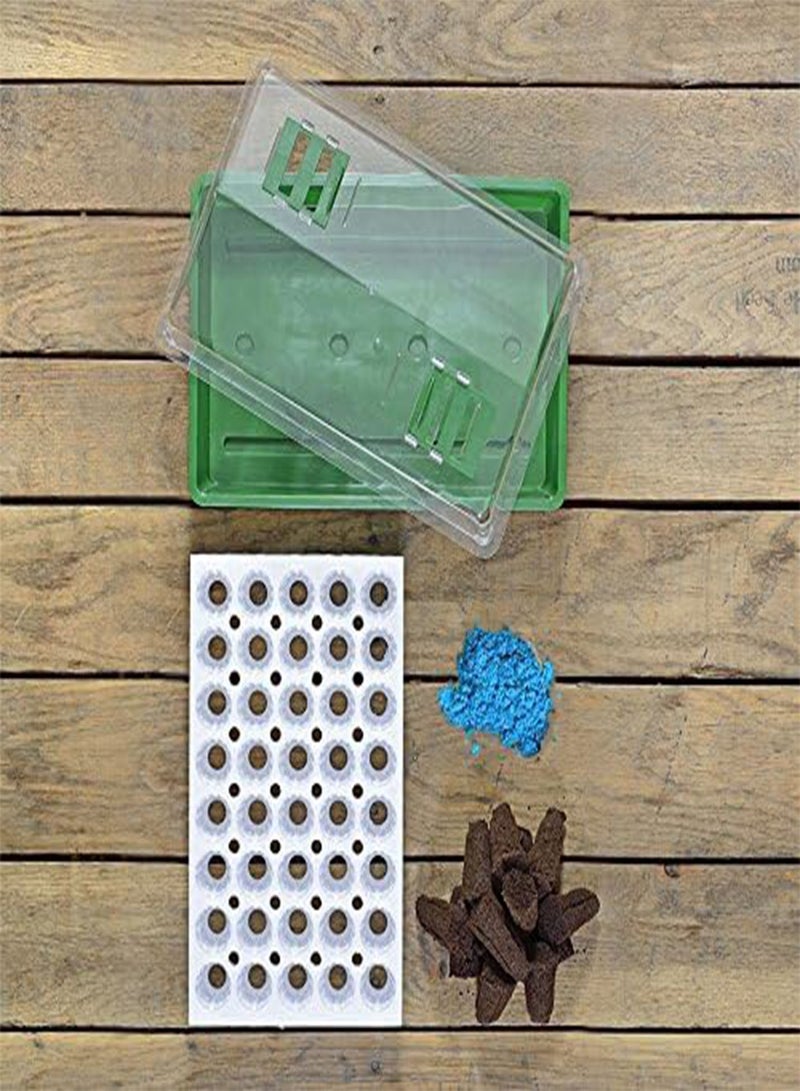 GGOOT Bio Dome Seed Starter Kit with 40 Jumbo Cell Planting Block, Base Tray, Humidity Dome & 40 Bio Sponges - Image 2