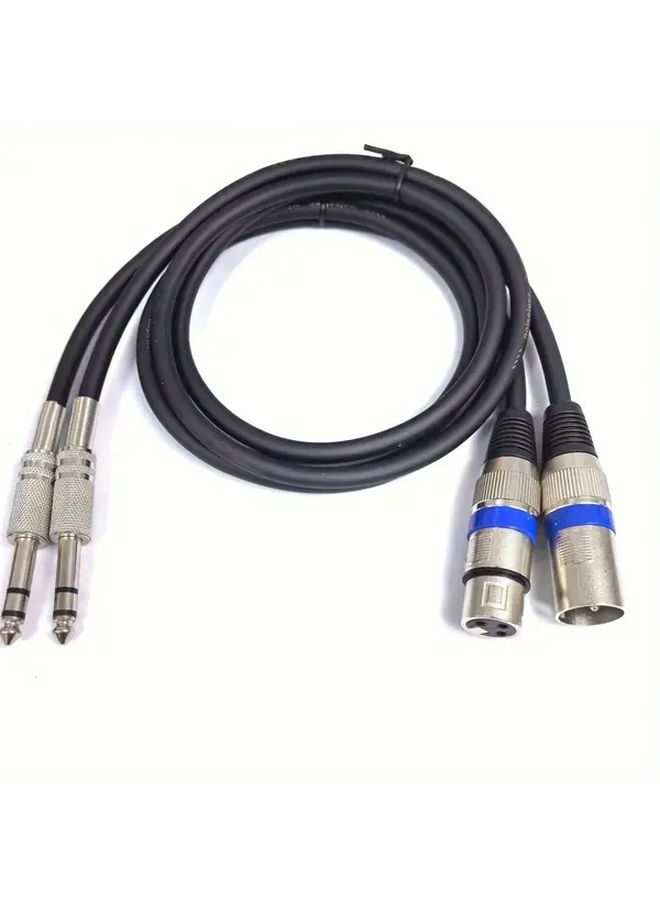 2 XLR To 6 35mm Stereo Microphone Adapter Cable 196 85 Inch 2 Pieces - Image 1
