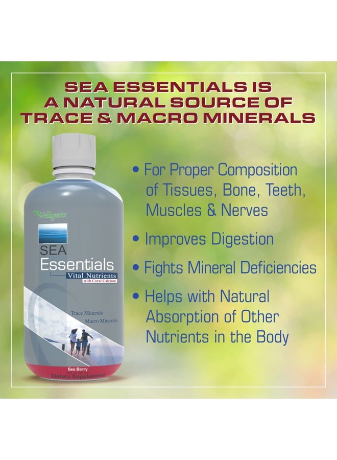 wellgenix Sea Essentials Coral Calcium Liquid Vitamin for High Absorption - Nutritional Multivitamin Supplement - Sea Berry Flavor 32 Oz - Image 3