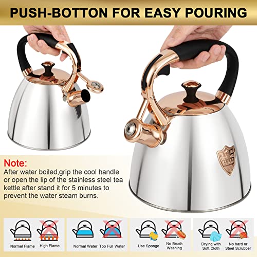 LUXGRACE Tea Kettle -2.9 Quart Tea Kettles Stovetop Whistling Teapot Stainless Steel Tea Pots for Stove Top Whistle Tea Pot (Silver-Go) - Image 3