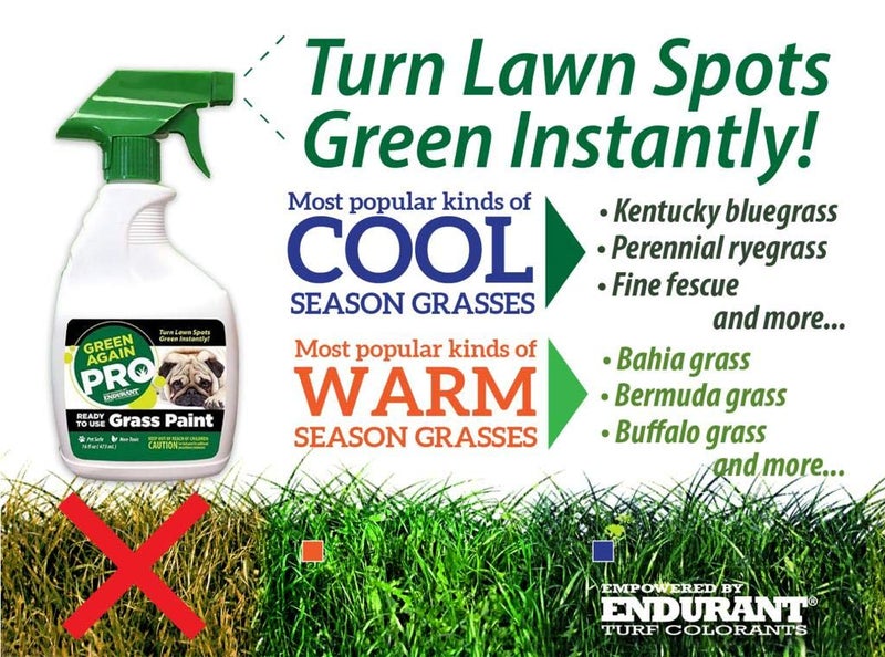 Endurant Pre-Mixed Grass and Turf Paint - All Natural Pet-Friendly Lawn Colorant Turns Spots Green Again with Eco-Friendly Point-and-Spray Application (16 oz) (Warm Season Grasses) - Image 2