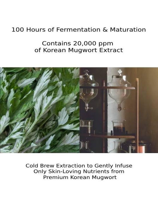 CHARMZONE Mugwort Cream The Original 1.69oz - Deep Hydration & Soothing Moisturizer for Healthy Skin - Image 3