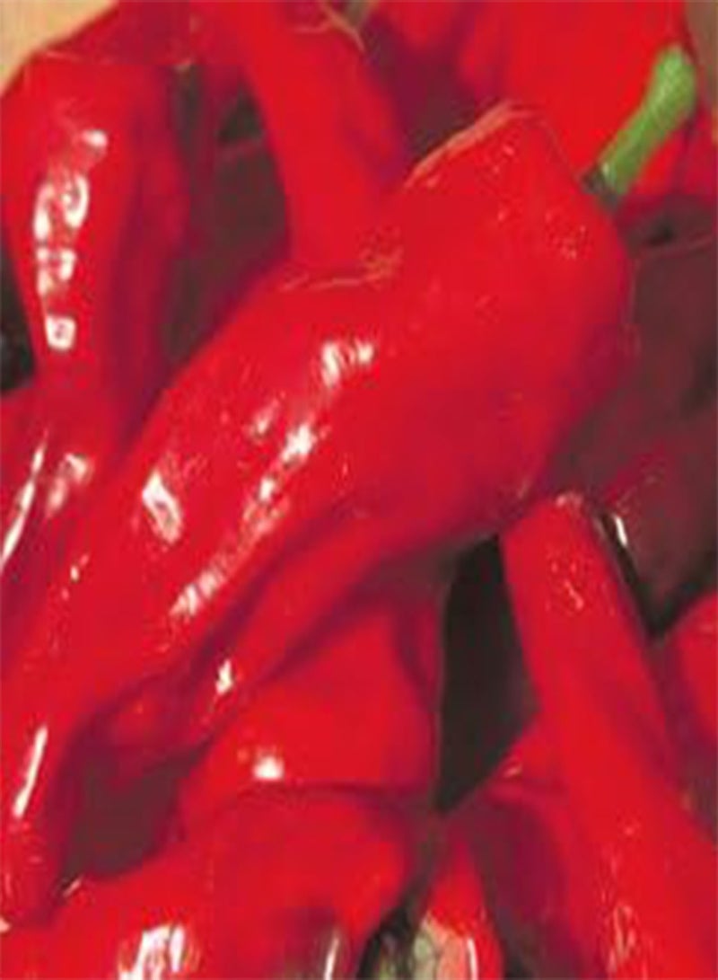 GGOOT Pepper Melrose 100 Seeds