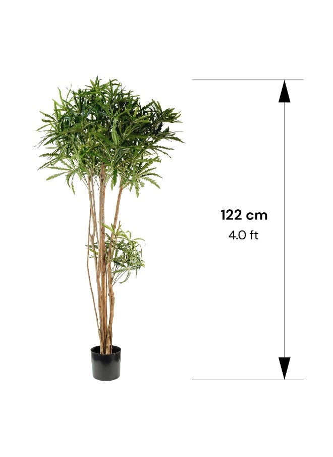 Gulf Flowers - Gulf Flowers Artificial False Aralia Tree – 122cm Tall Faux Tree with Real Trunk – Decorative Indoor Plant for Home & Office Décor – Natural Look with 819 Leaves – Green - Image 1