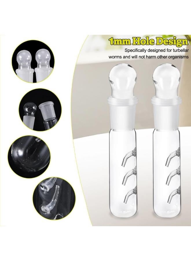 مصيدة ديدان بلاناريا لأحواض السمك - 3 فتحات - Image 3