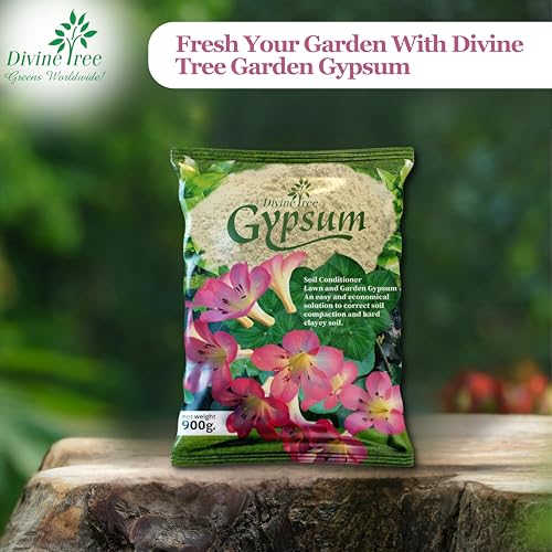 Divine Tree Gypsum Powder for Plant Calcium Sulfate Soil Conditioner for Lawn and Garden(900 Gram) - Image 2