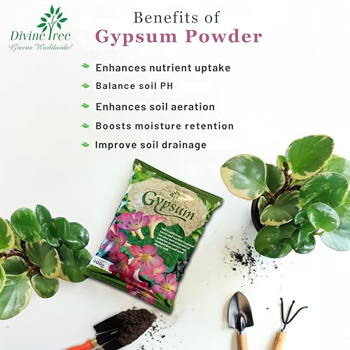 Divine Tree Gypsum Powder for Plant Calcium Sulfate Soil Conditioner for Lawn and Garden(900 Gram) - Image 4