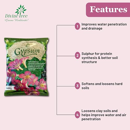 Divine Tree Gypsum Powder for Plant Calcium Sulfate Soil Conditioner for Lawn and Garden(900 Gram) - Image 3