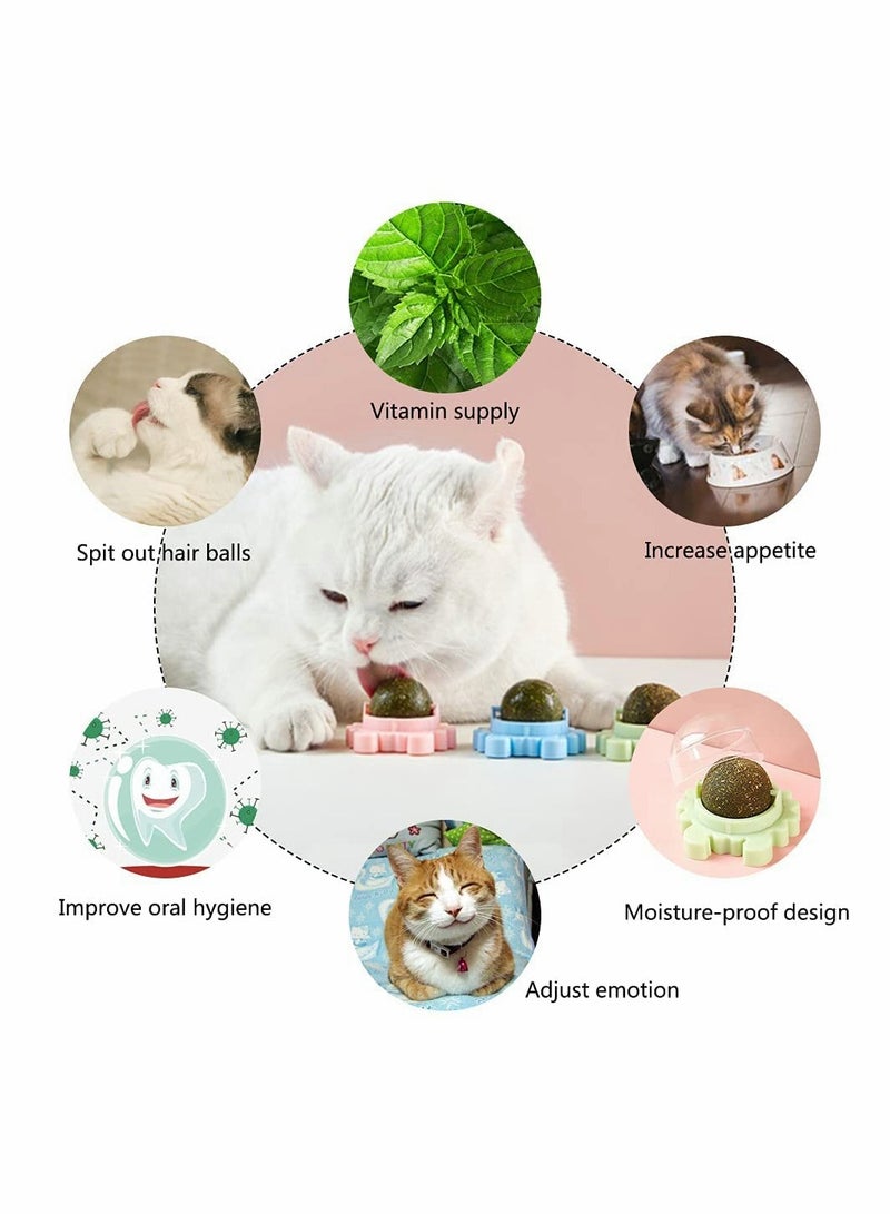 SYOSI Catnip Wall Ball, 3-Piece Cat Toys, Edible Cat Licking Toy, Cat Chew Toy, Teeth Cleaning Cat Bite Toy, Rotatable Indoor Cat Toy, Cat Wall Decoration  - Image 4