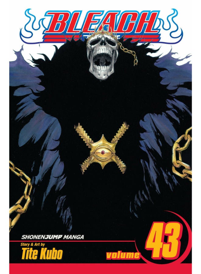 Bleach 43