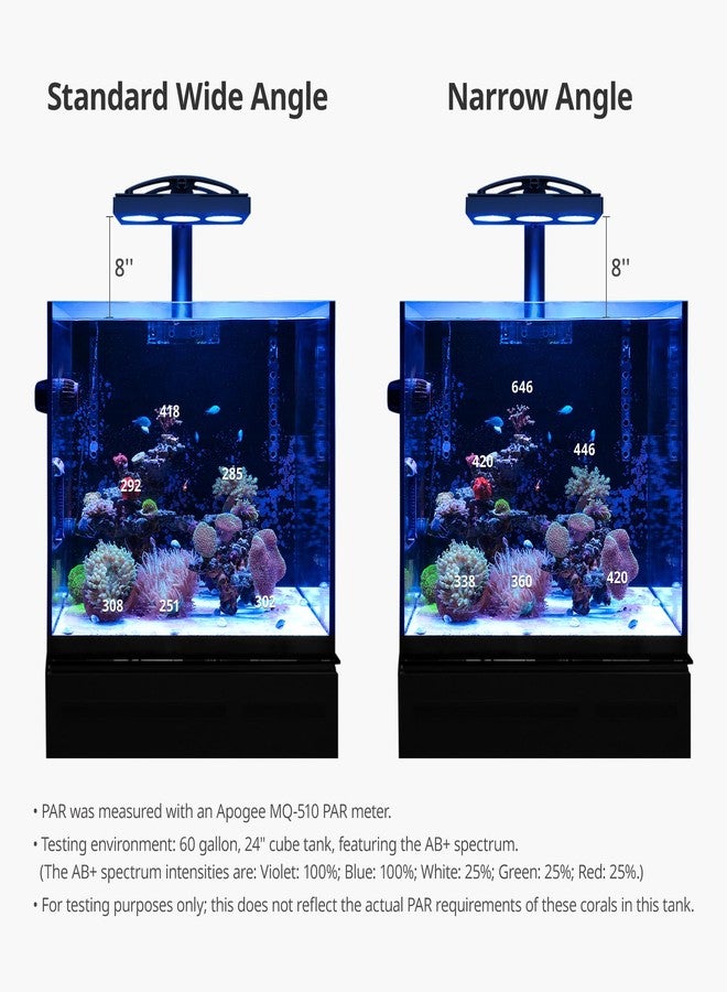 NICREW HyperReef Narrow Angle Lens Kit for HyperReef 150 & 200 Gen 2 (3 pcs), for Higher PAR and Deeper Penetration - Image 3
