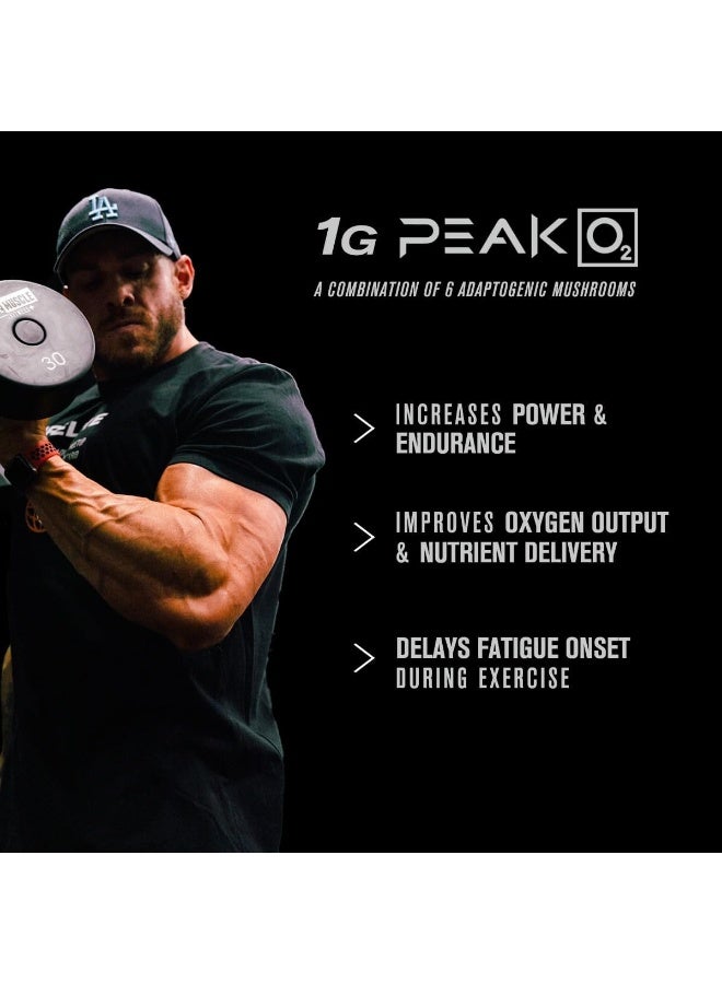 Jacked Factory Build-Xt Muscle Builder - Daily Building Supplement - 60 Veggie Pills - Image 2