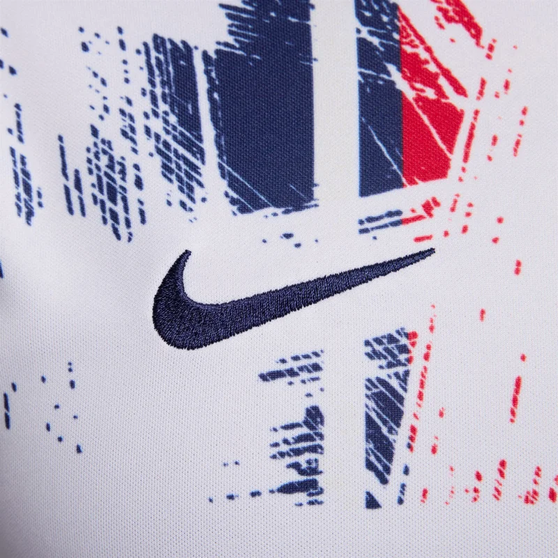 Nike Men's Paris Saint-Germain Academy Pro Away Pre-Match Football Top