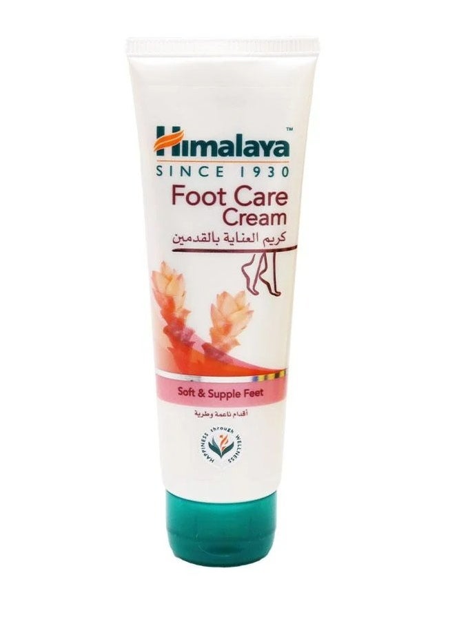 Himalaya Foot Care Cream - 75 gm 