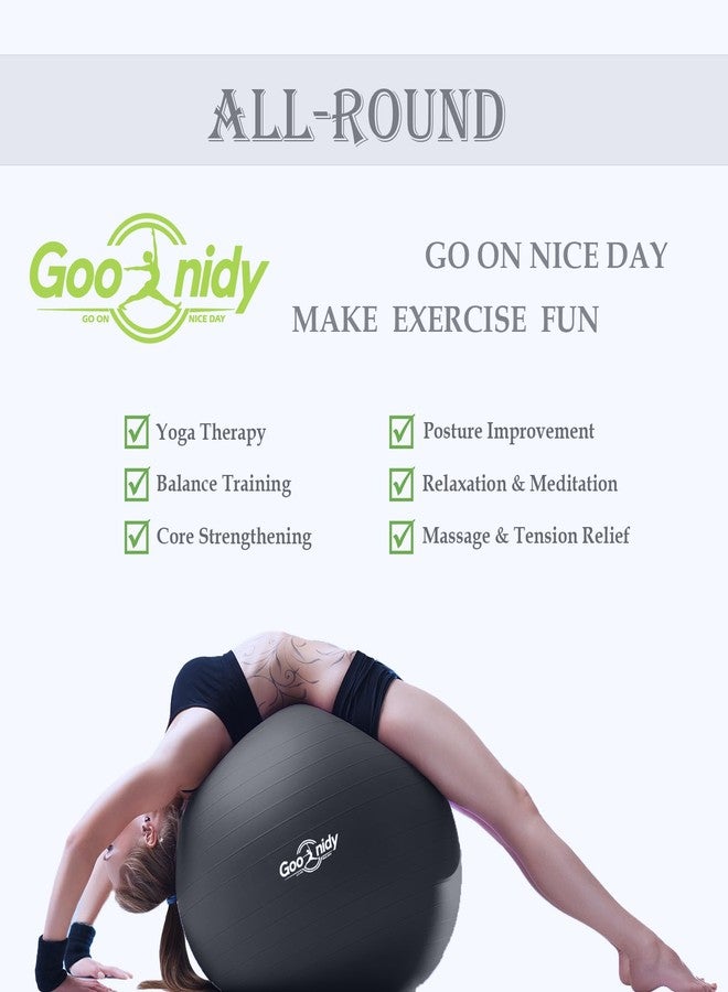 Goonidy Soft Exercise ball, Anti-Burst Yoga Ball Chair Supports 2200lbs, Workout Equipment w/ Pump for Women Pregnancy, Medicine, Birthing, Physical Therapy, Stability, Excersing, Birth, Swiss, Fitness, Gym - Image 2