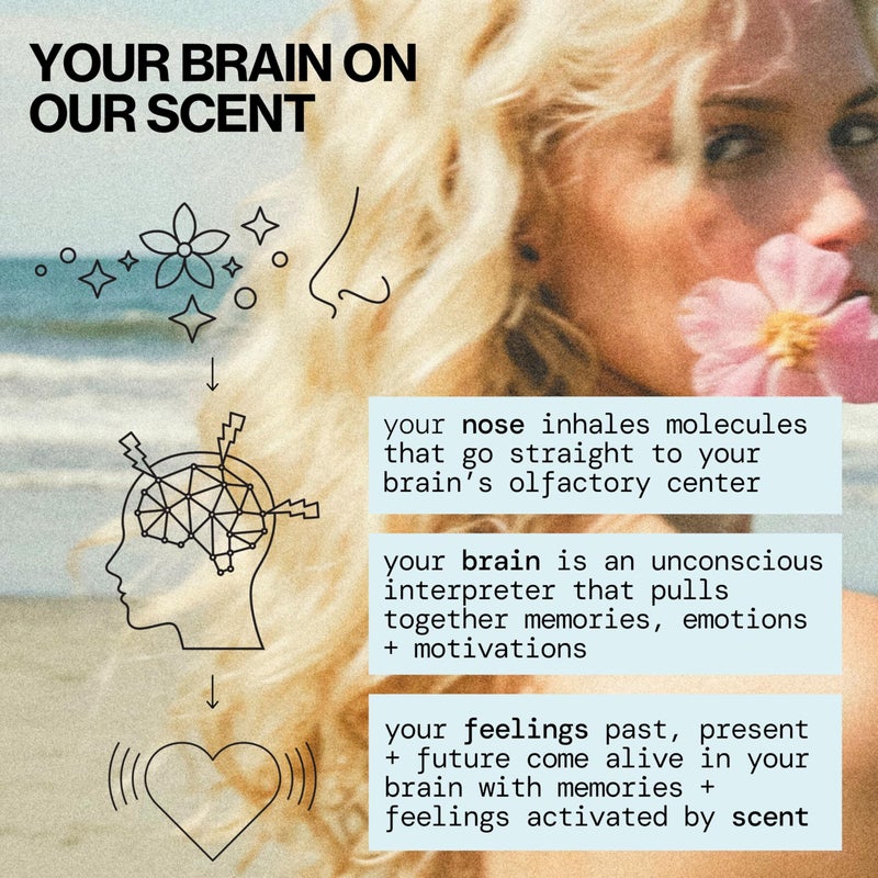 Pacifica Dream Moon Womens Spray Perfume 1 fl oz â€“ Long-Lasting Floral Woody Fragrance for Her - Rose, Patchouli, Sandalwood â€“ 100% Vegan, Cruelty-Free, Phthalate-Free Fragrance - Image 4