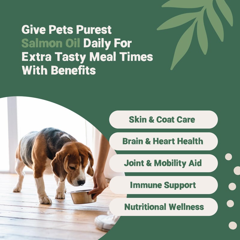 Pets Purest Salmon Oil for Dogs, Cats, Horses, Ferrets & Pets - 32 Fl Oz 100% Pure Premium Food Grade - Natural Omega 3, 6 & 9 Supplement - Promotes Coat, Skin, Joint and Brain Health - Image 2