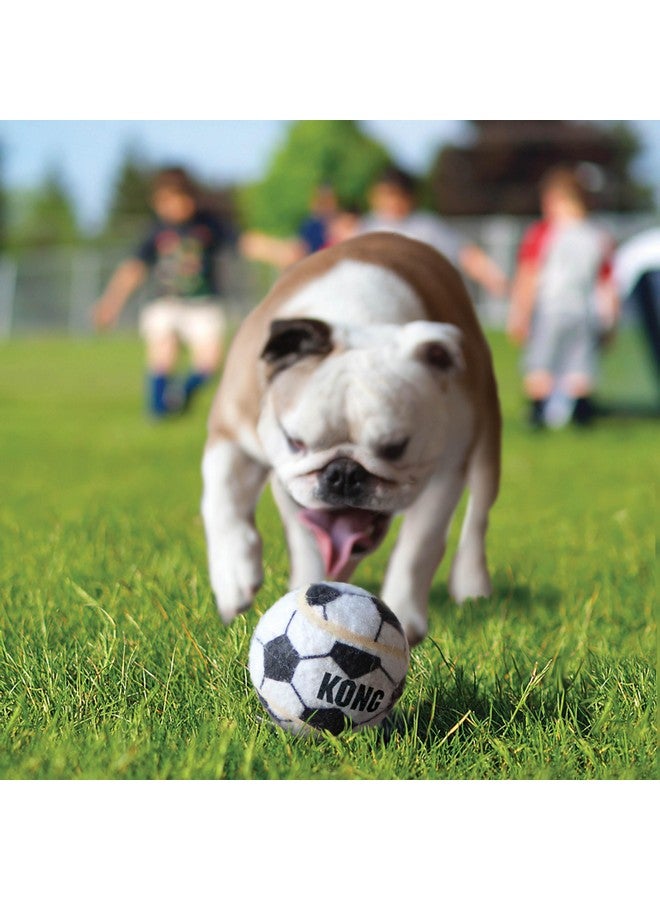 كونج كرات رياضية للكلاب، مجموعة متنوعة، كبيرة (عبوة من قطعتين) - Image 3