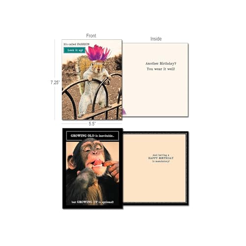 Leanin' Tree Wildly Funny - Made In USA - 20 Assorted Cards with Envelopes All Occasion, Birthday Cards Funny Enough to Make You Laugh, Includes Birthday, Encouragement, Friendship, Thank You and More - Image 2