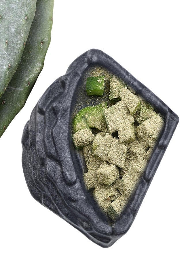 فلاين وعاء ماء للزواحف، وعاء طعام للزواحف، وعاء طعام لدودة الخبز، أوعية ديكور للتراريوم مناسبة للتنين الملتحي، السحلية، الضفدع، أبو بريص النمر، السلحفاة، سرطان البحر الناسك، الحرباء (النمط 2 صغير) - Image 4